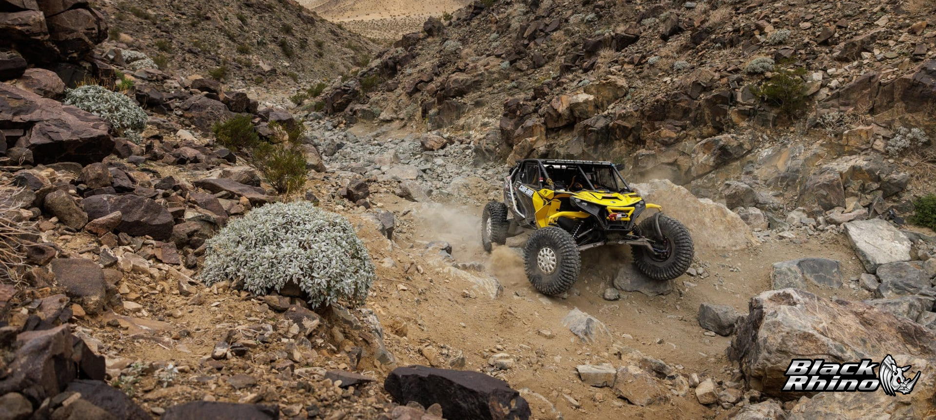 Black Rhino Performance - Photo 1
